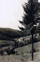 Fotografováno z Velké Zdobnice - v popředí č.p. 45 a v pozadí Wenzlův mlýn - okolo r. 1938